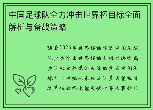 中国足球队全力冲击世界杯目标全面解析与备战策略