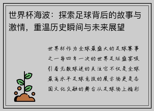 世界杯海波：探索足球背后的故事与激情，重温历史瞬间与未来展望